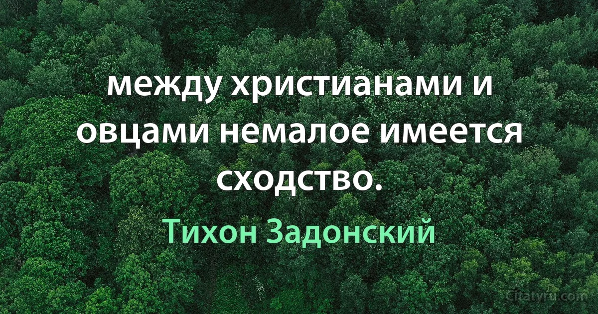 между христианами и овцами немалое имеется сходство. (Тихон Задонский)