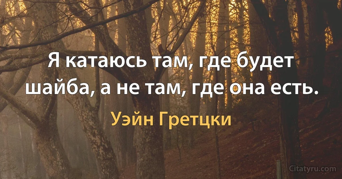 Я катаюсь там, где будет шайба, а не там, где она есть. (Уэйн Гретцки)