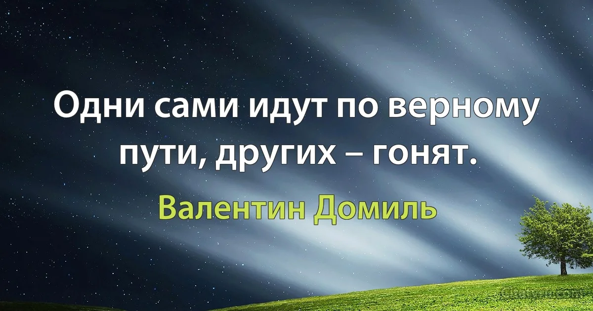 Одни сами идут по верному пути, других – гонят. (Валентин Домиль)