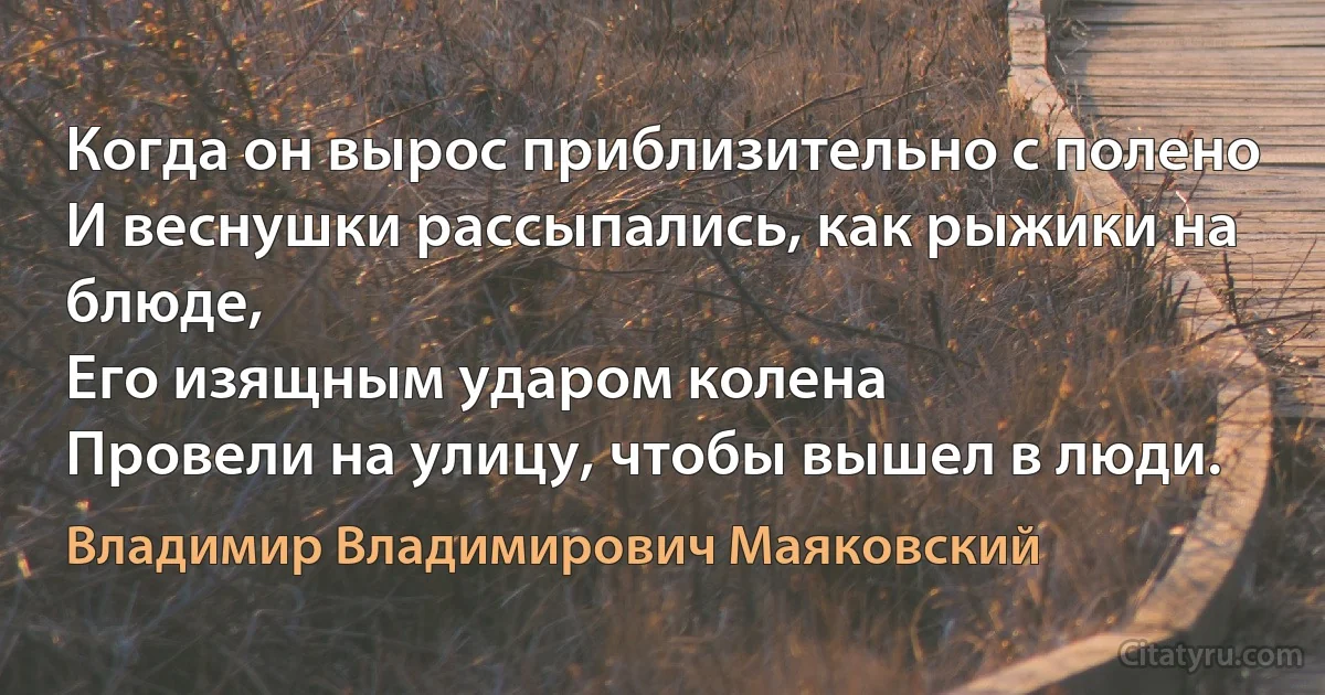 Когда он вырос приблизительно с полено
И веснушки рассыпались, как рыжики на блюде,
Его изящным ударом колена
Провели на улицу, чтобы вышел в люди. (Владимир Владимирович Маяковский)