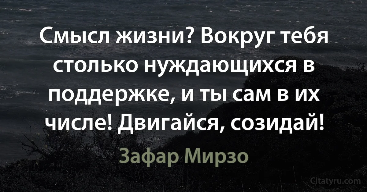 Смысл жизни? Вокруг тебя столько нуждающихся в поддержке, и ты сам в их числе! Двигайся, созидай! (Зафар Мирзо)