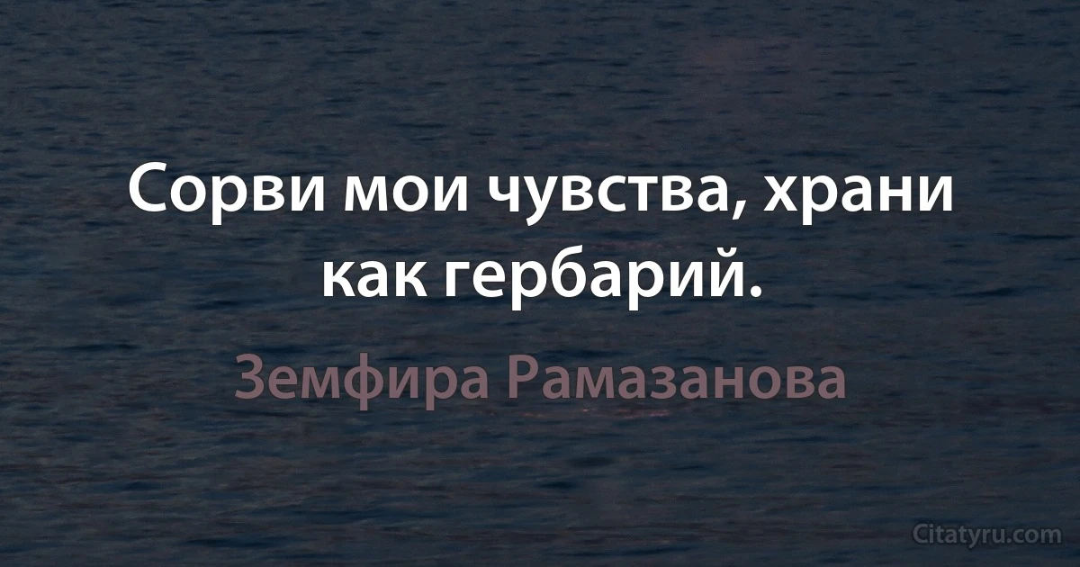 Сорви мои чувства, храни как гербарий. (Земфира Рамазанова)