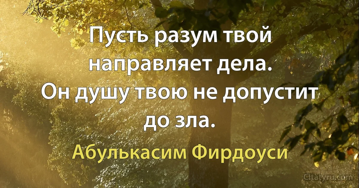 Пусть разум твой направляет дела.
Он душу твою не допустит до зла. (Абулькасим Фирдоуси)