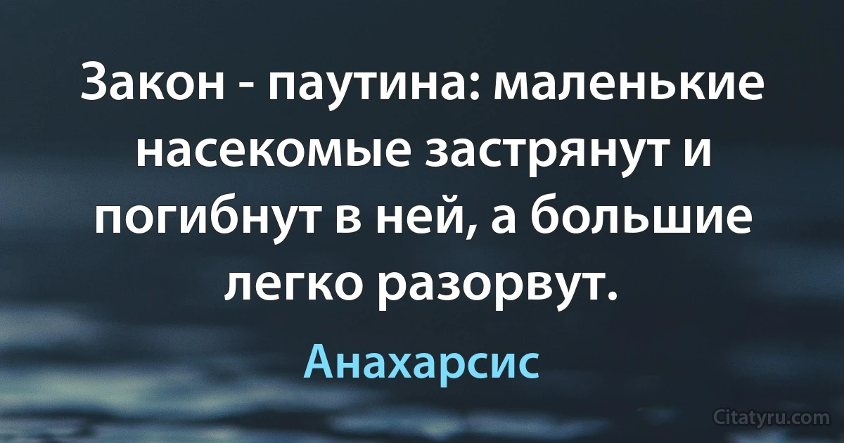 Закон - паутина: маленькие насекомые застрянут и погибнут в ней, а большие легко разорвут. (Анахарсис)