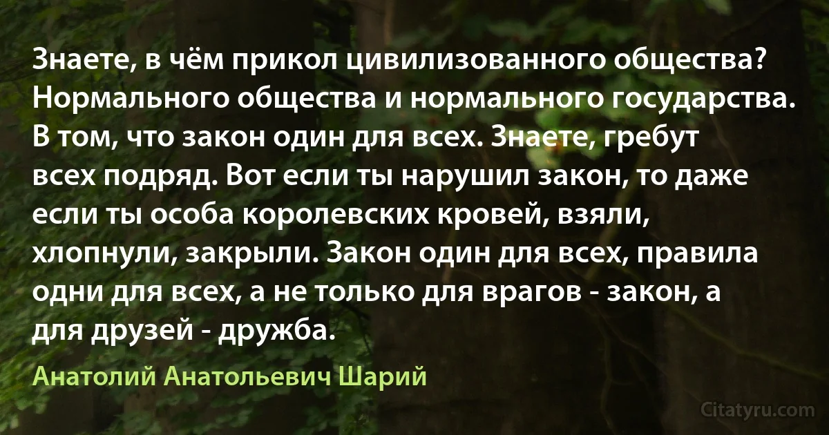 Знаете, в чём прикол цивилизованного общества? Нормального общества и нормального государства. В том, что закон один для всех. Знаете, гребут всех подряд. Вот если ты нарушил закон, то даже если ты особа королевских кровей, взяли, хлопнули, закрыли. Закон один для всех, правила одни для всех, а не только для врагов - закон, а для друзей - дружба. (Анатолий Анатольевич Шарий)