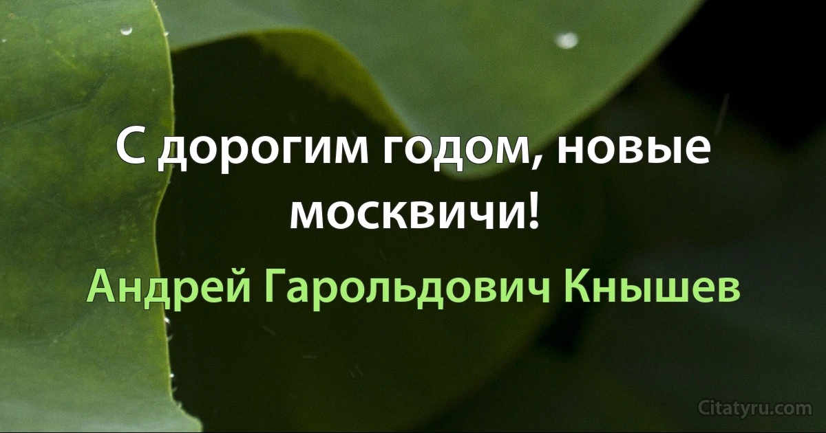 С дорогим годом, новые москвичи! (Андрей Гарольдович Кнышев)