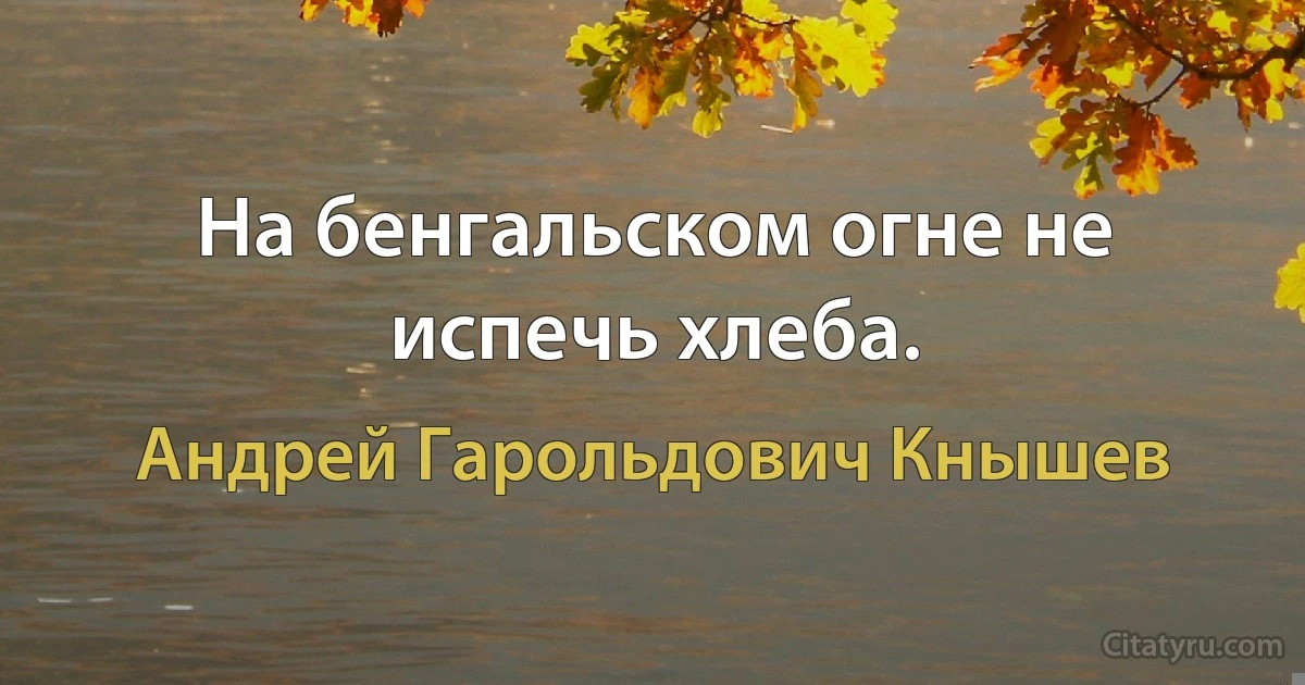 На бенгальском огне не испечь хлеба. (Андрей Гарольдович Кнышев)