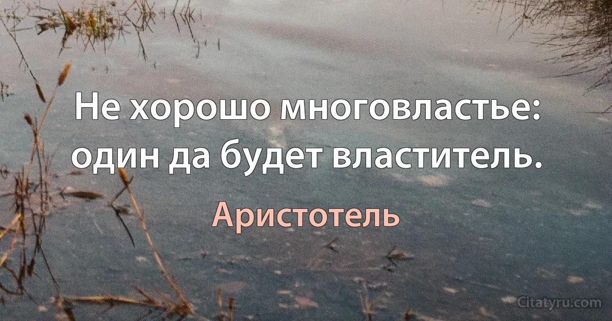 Не хорошо многовластье: один да будет властитель. (Аристотель)