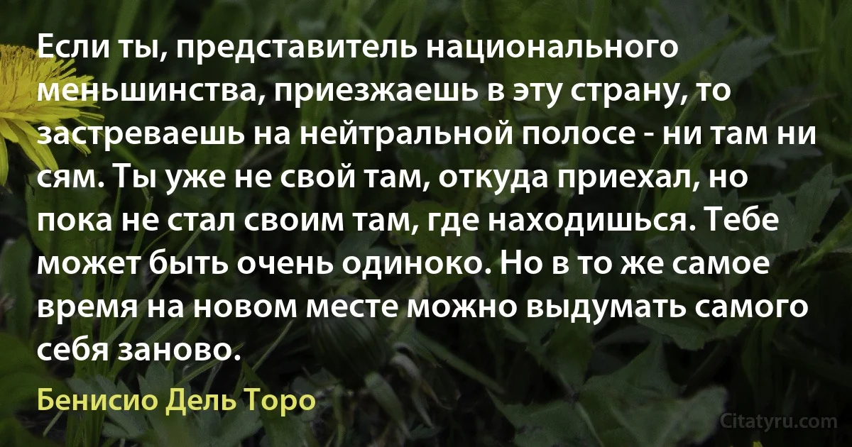 Если ты, представитель национального меньшинства, приезжаешь в эту страну, то застреваешь на нейтральной полосе - ни там ни сям. Ты уже не свой там, откуда приехал, но пока не стал своим там, где находишься. Тебе может быть очень одиноко. Но в то же самое время на новом месте можно выдумать самого себя заново. (Бенисио Дель Торо)