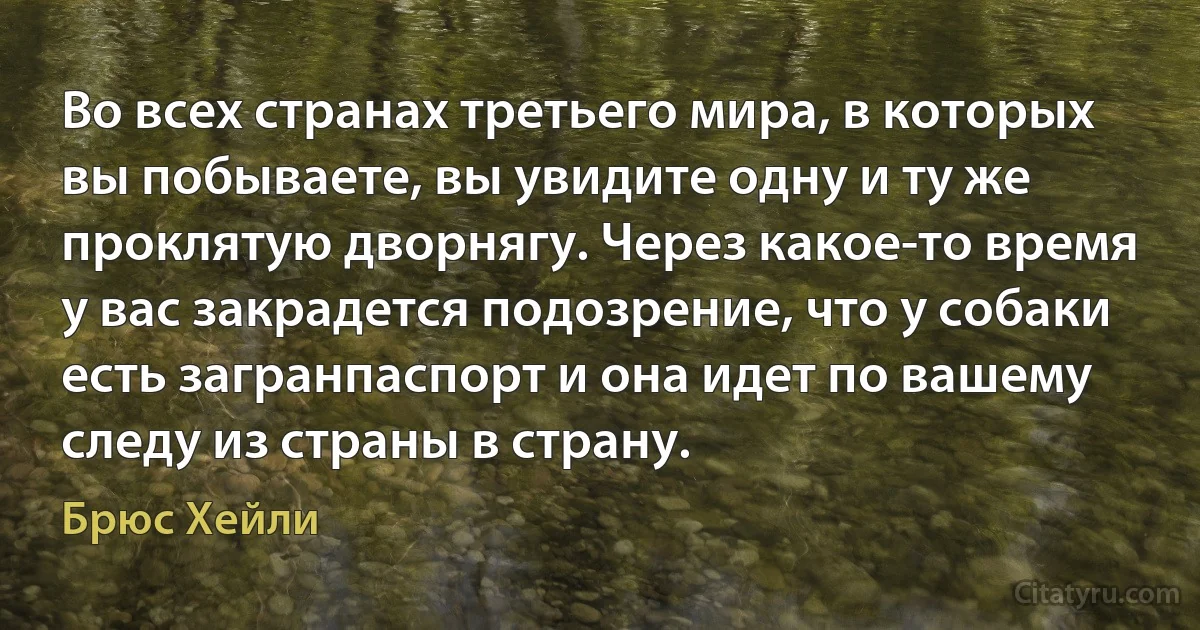 Во всех странах третьего мира, в которых вы побываете, вы увидите одну и ту же проклятую дворнягу. Через какое-то время у вас закрадется подозрение, что у собаки есть загранпаспорт и она идет по вашему следу из страны в страну. (Брюс Хейли)