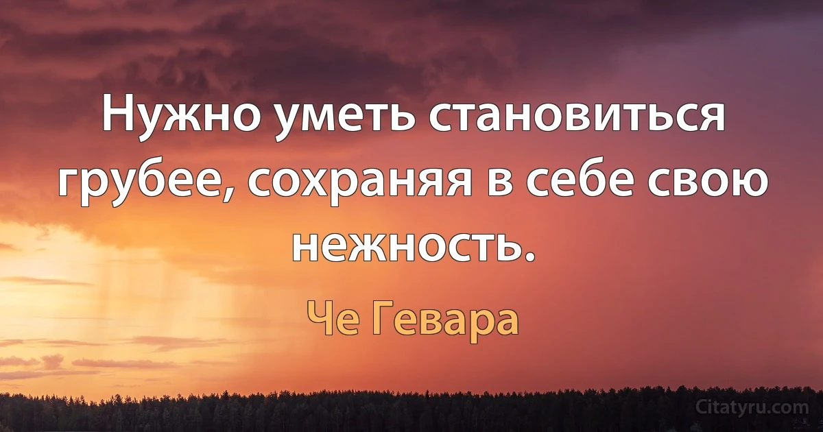 Нужно уметь становиться грубее, сохраняя в себе свою нежность. (Че Гевара)