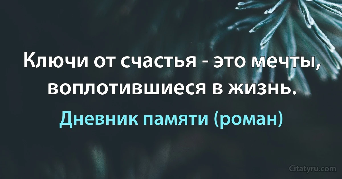 Ключи от счастья - это мечты, воплотившиеся в жизнь. (Дневник памяти (роман))