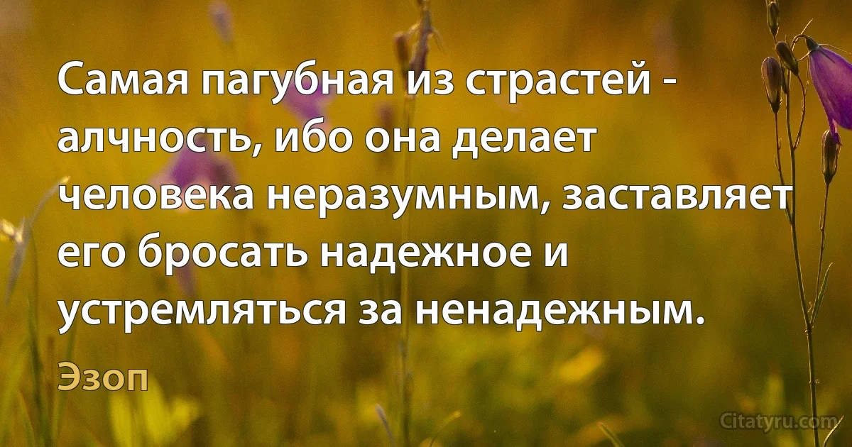 Самая пагубная из страстей - алчность, ибо она делает человека неразумным, заставляет его бросать надежное и устремляться за ненадежным. (Эзоп)