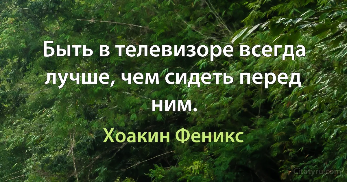 Быть в телевизоре всегда лучше, чем сидеть перед ним. (Хоакин Феникс)