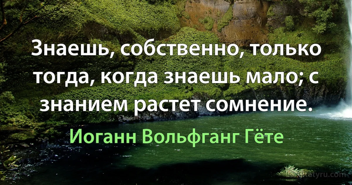 Знаешь, собственно, только тогда, когда знаешь мало; с знанием растет сомнение. (Иоганн Вольфганг Гёте)