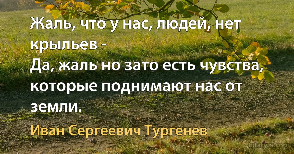 Жаль, что у нас, людей, нет крыльев -
Да, жаль но зато есть чувства, которые поднимают нас от земли. (Иван Сергеевич Тургенев)