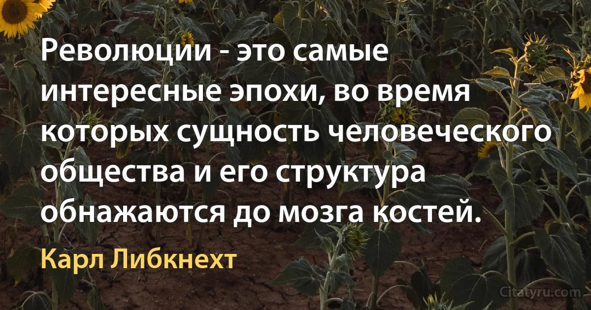 Революции - это самые интересные эпохи, во время которых сущность человеческого общества и его структура обнажаются до мозга костей. (Карл Либкнехт)