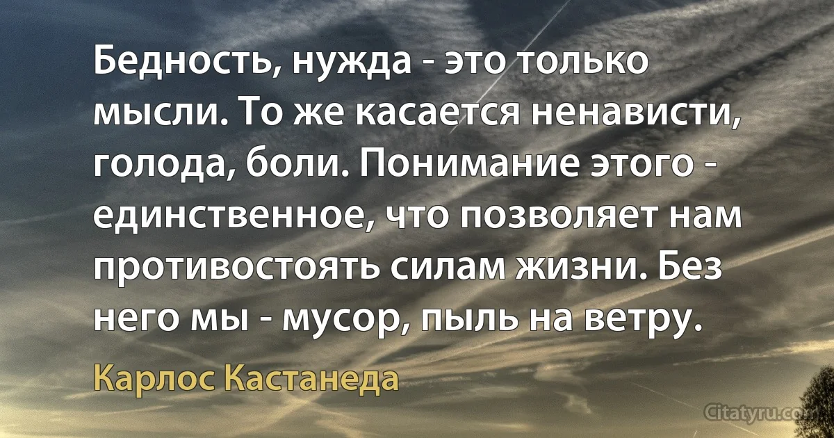 Бедность, нужда - это только мысли. То же касается ненависти, голода, боли. Понимание этого - единственное, что позволяет нам противостоять силам жизни. Без него мы - мусор, пыль на ветру. (Карлос Кастанеда)