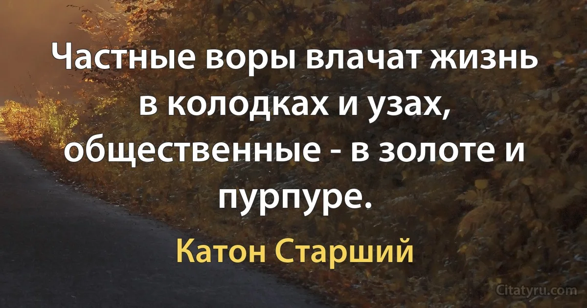 Частные воры влачат жизнь в колодках и узах, общественные - в золоте и пурпуре. (Катон Старший)