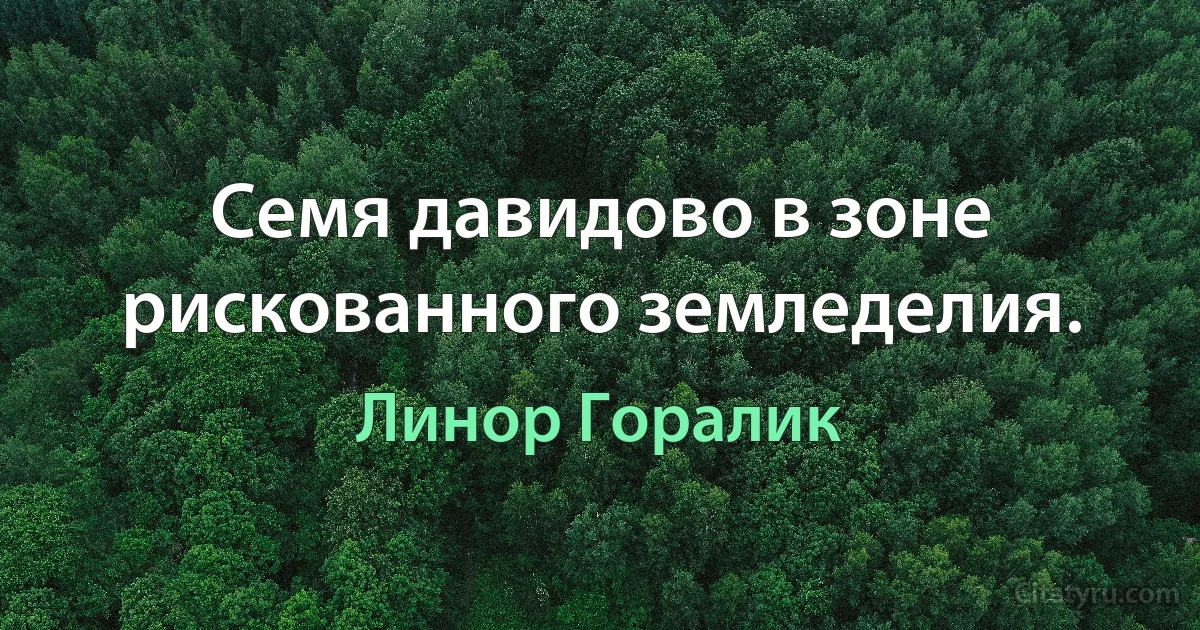 Семя давидово в зоне рискованного земледелия. (Линор Горалик)