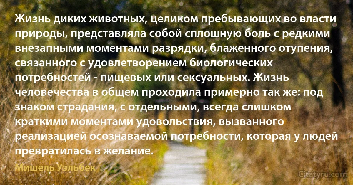 Жизнь диких животных, целиком пребывающих во власти природы, представляла собой сплошную боль с редкими внезапными моментами разрядки, блаженного отупения, связанного с удовлетворением биологических потребностей - пищевых или сексуальных. Жизнь человечества в общем проходила примерно так же: под знаком страдания, с отдельными, всегда слишком краткими моментами удовольствия, вызванного реализацией осознаваемой потребности, которая у людей превратилась в желание. (Мишель Уэльбек)