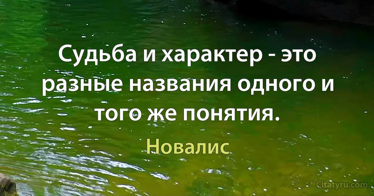 Судьба и характер - это разные названия одного и того же понятия. (Новалис)