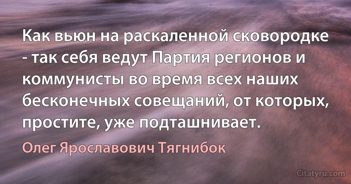 Как вьюн на раскаленной сковородке - так себя ведут Партия регионов и коммунисты во время всех наших бесконечных совещаний, от которых, простите, уже подташнивает. (Олег Ярославович Тягнибок)