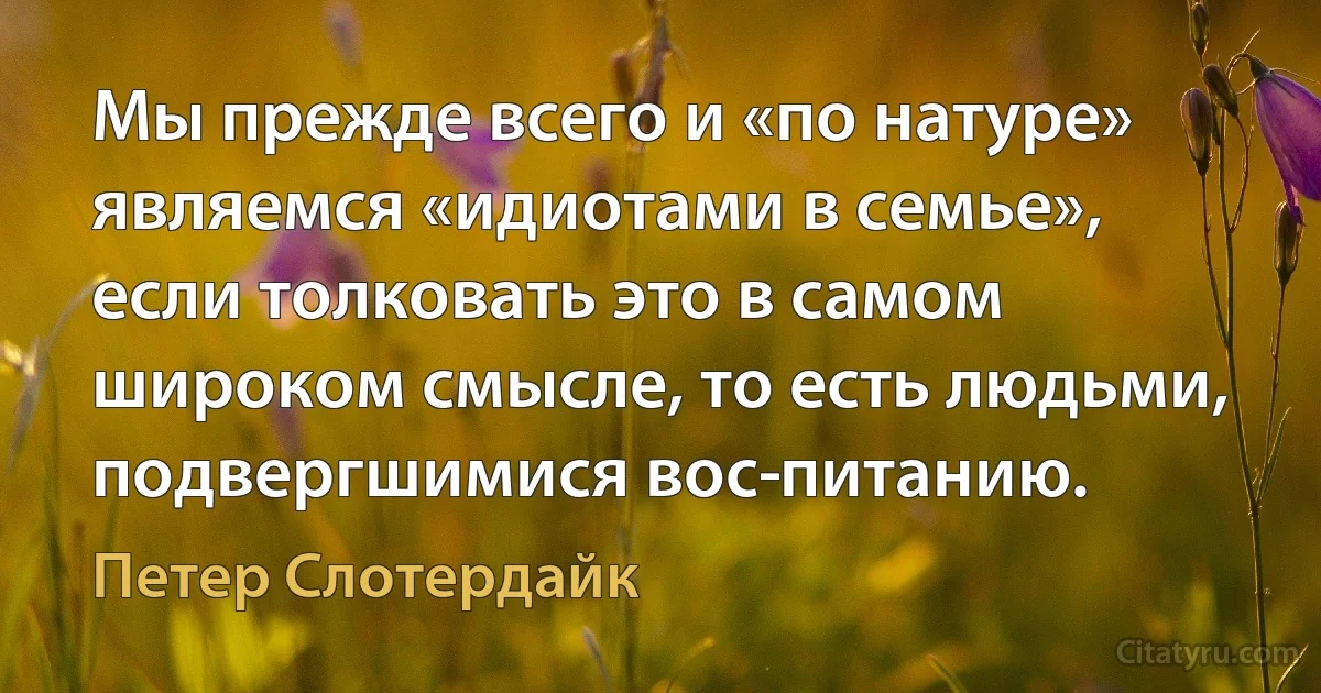 Мы прежде всего и «по натуре» являемся «идиотами в семье», если толковать это в самом широком смысле, то есть людьми, подвергшимися вос­питанию. (Петер Слотердайк)