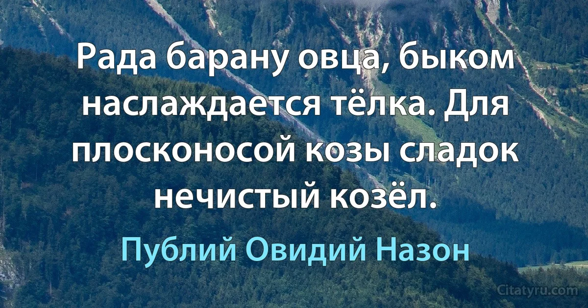 Рада барану овца, быком наслаждается тёлка. Для плосконосой козы сладок нечистый козёл. (Публий Овидий Назон)