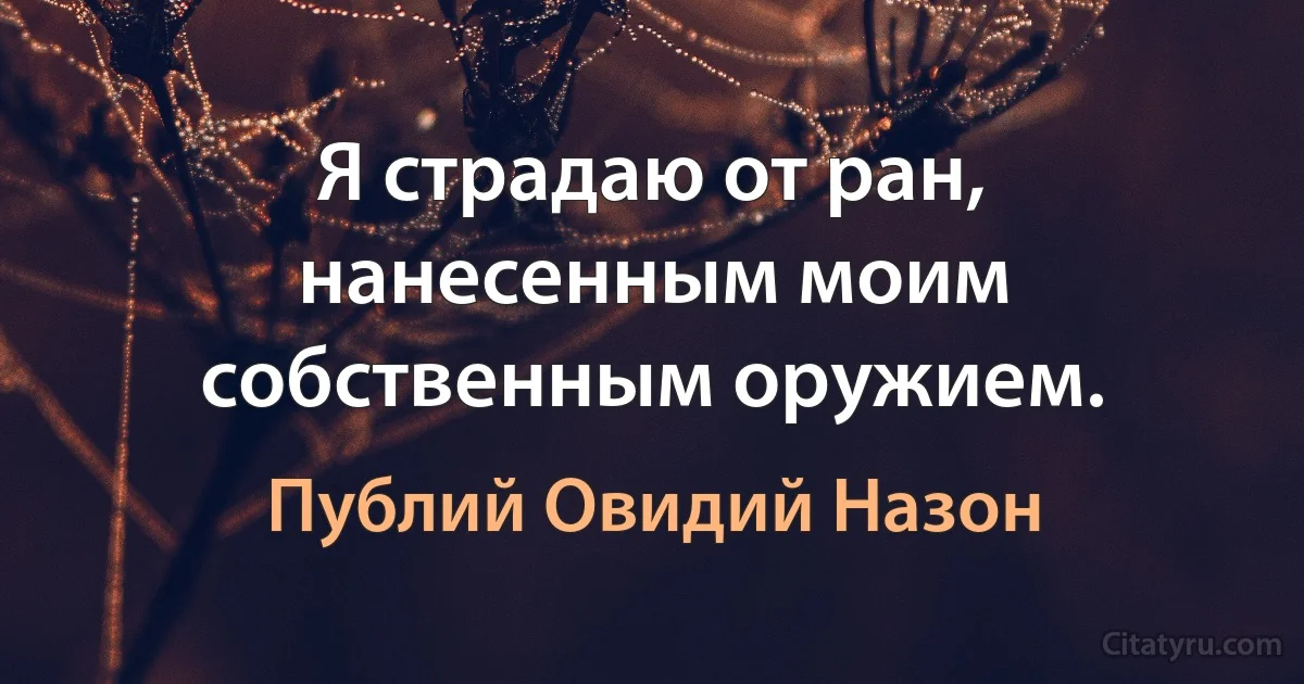 Я страдаю от ран, нанесенным моим собственным оружием. (Публий Овидий Назон)