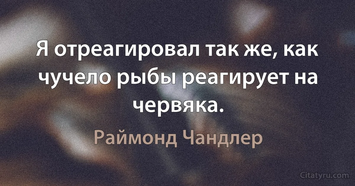 Я отреагировал так же, как чучело рыбы реагирует на червяка. (Раймонд Чандлер)