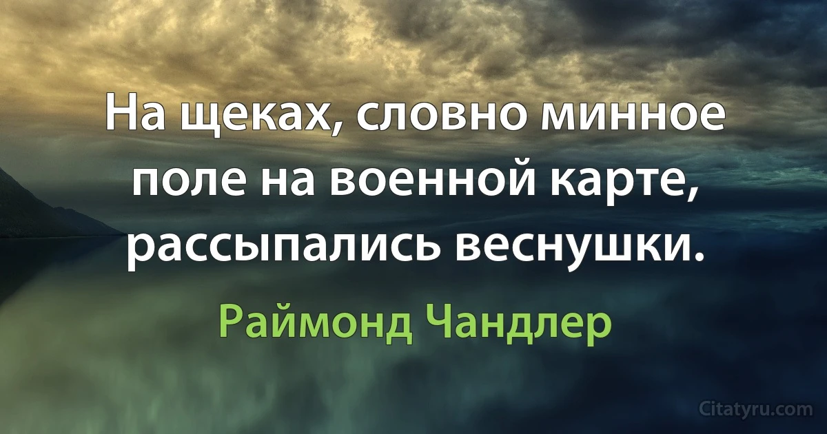 На щеках, словно минное поле на военной карте, рассыпались веснушки. (Раймонд Чандлер)