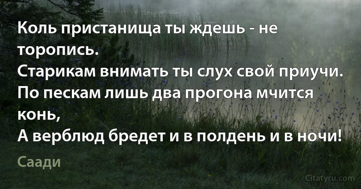 Коль пристанища ты ждешь - не торопись.
Старикам внимать ты слух свой приучи.
По пескам лишь два прогона мчится конь,
А верблюд бредет и в полдень и в ночи! (Саади)