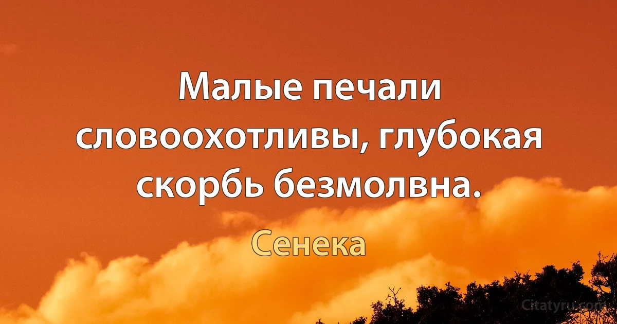 Малые печали словоохотливы, глубокая скорбь безмолвна. (Сенека)