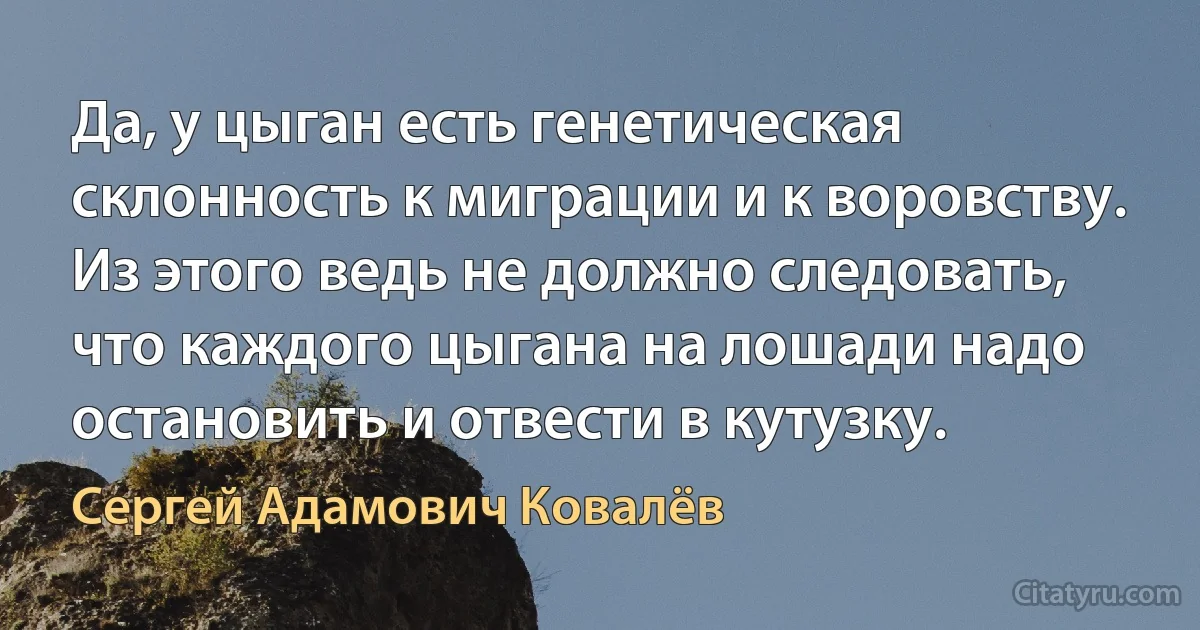 Да, у цыган есть генетическая склонность к миграции и к воровству. Из этого ведь не должно следовать, что каждого цыгана на лошади надо остановить и отвести в кутузку. (Сергей Адамович Ковалёв)