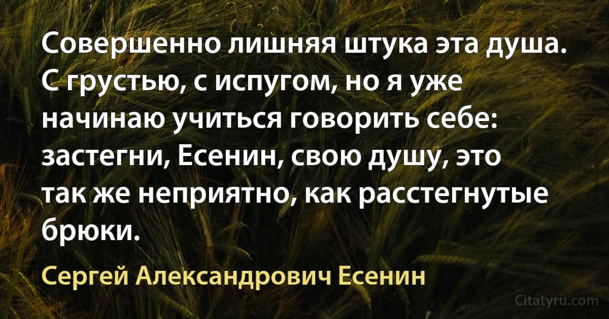 Совершенно лишняя штука эта душа. С грустью, с испугом, но я уже начинаю учиться говорить себе: застегни, Есенин, свою душу, это так же неприятно, как расстегнутые брюки. (Сергей Александрович Есенин)