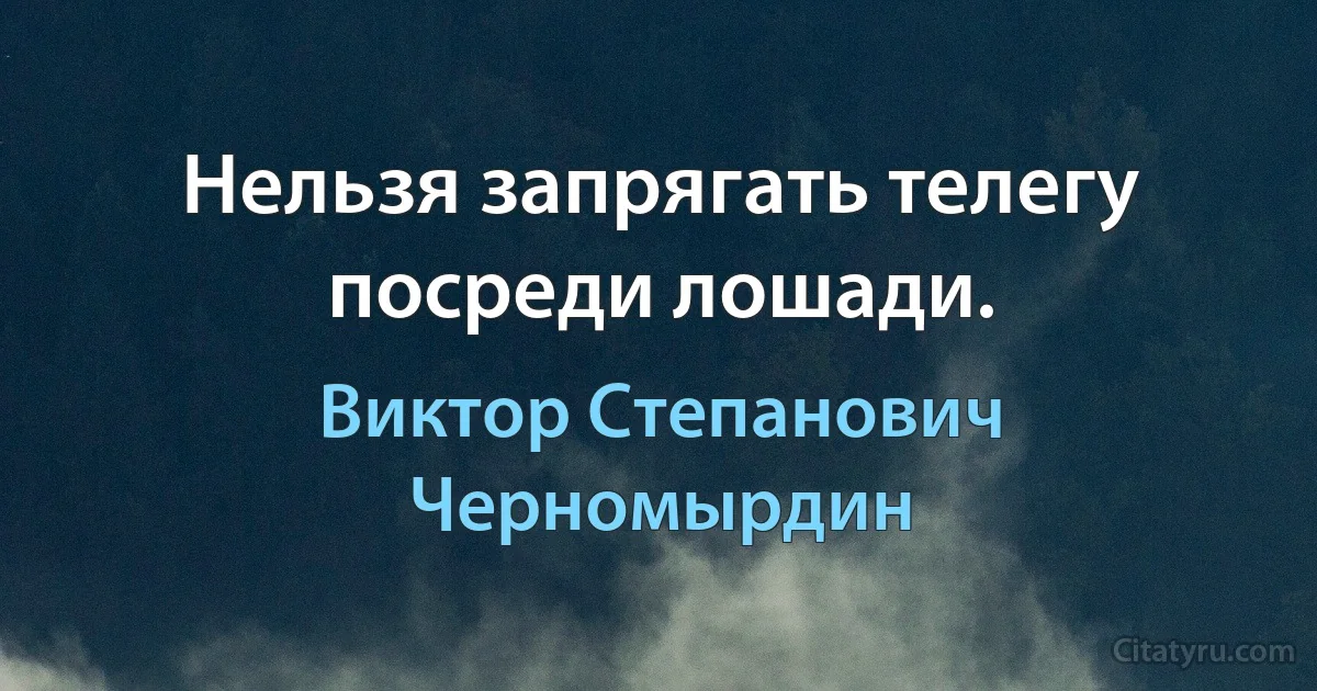 Нельзя запрягать телегу посреди лошади. (Виктор Степанович Черномырдин)