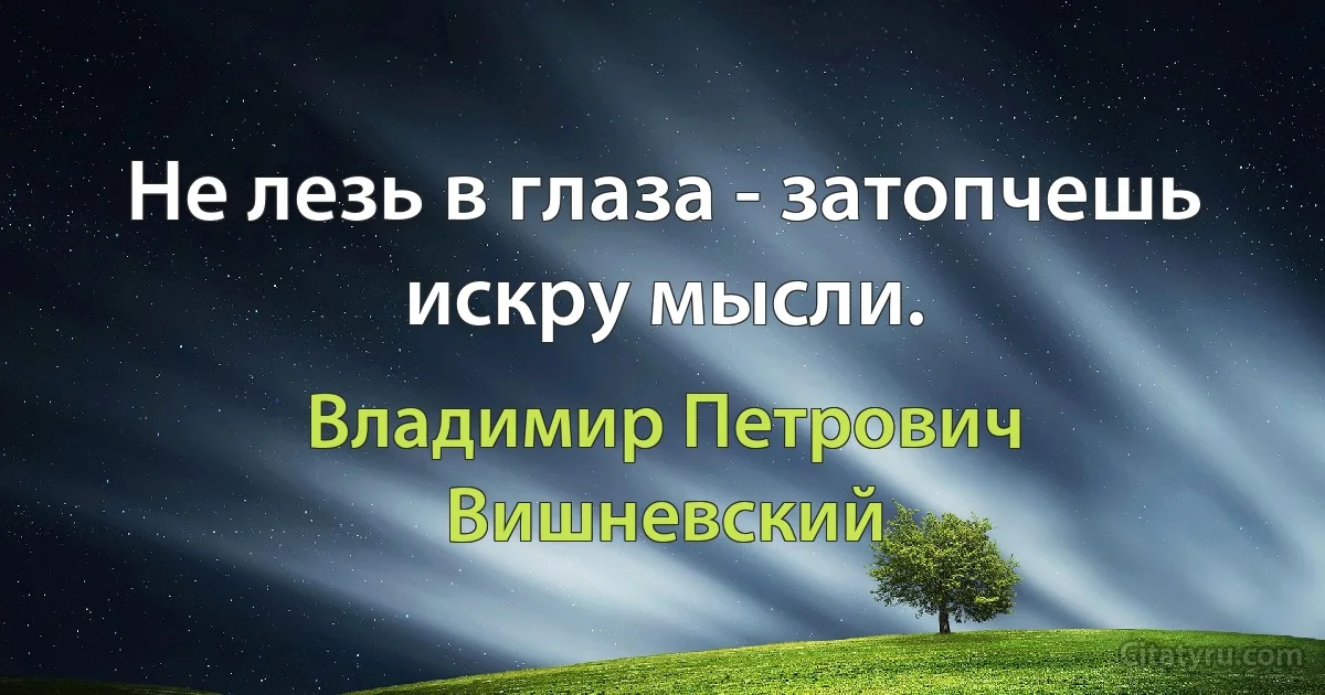 Не лезь в глаза - затопчешь искру мысли. (Владимир Петрович Вишневский)