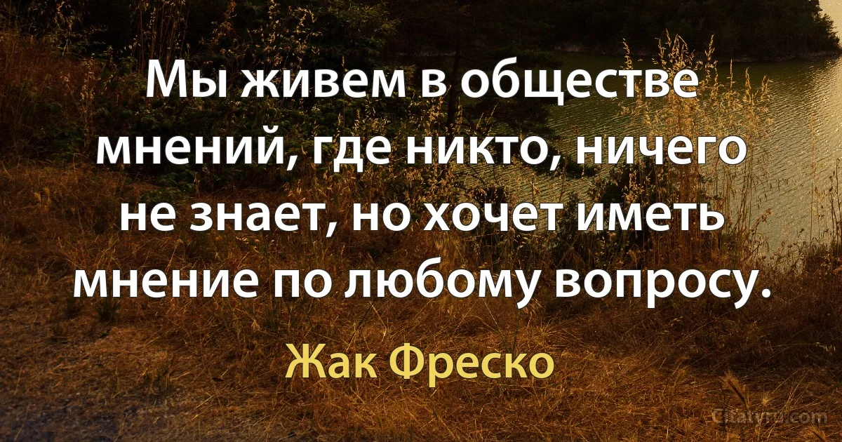 Мы живем в обществе мнений, где никто, ничего не знает, но хочет иметь мнение по любому вопросу. (Жак Фреско)