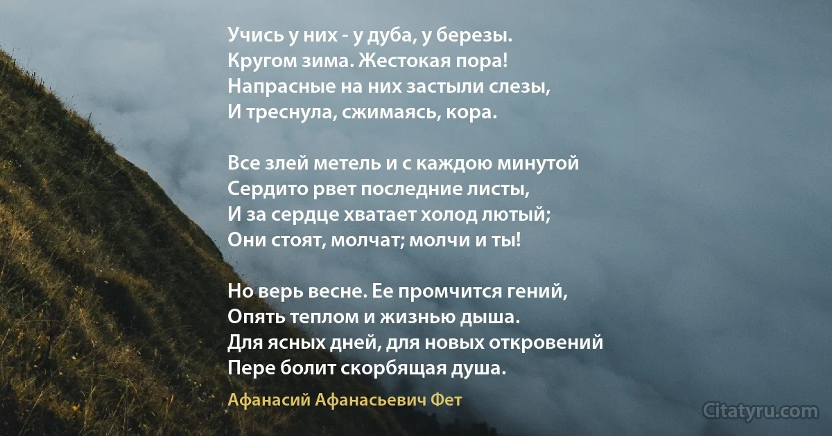 Учись у них - у дуба, у березы.
Кругом зима. Жестокая пора!
Напрасные на них застыли слезы,
И треснула, сжимаясь, кора.

Все злей метель и с каждою минутой
Сердито рвет последние листы,
И за сердце хватает холод лютый;
Они стоят, молчат; молчи и ты!

Но верь весне. Ее промчится гений,
Опять теплом и жизнью дыша.
Для ясных дней, для новых откровений
Пере болит скорбящая душа. (Афанасий Афанасьевич Фет)