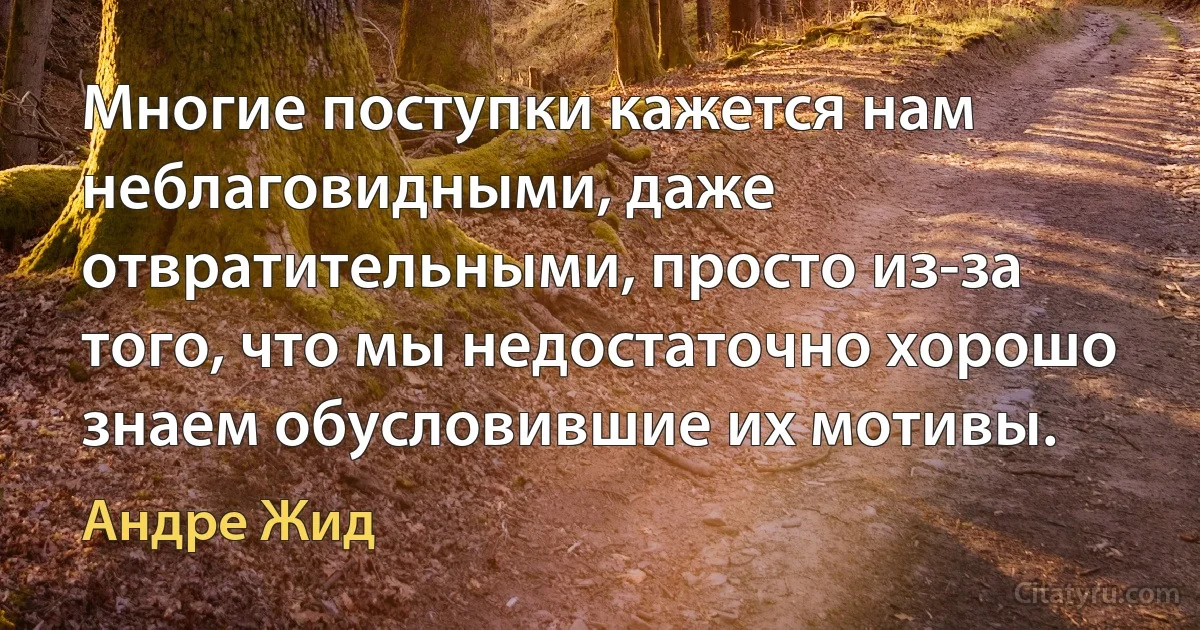 Многие поступки кажется нам неблаговидными, даже отвратительными, просто из-за того, что мы недостаточно хорошо знаем обусловившие их мотивы. (Андре Жид)