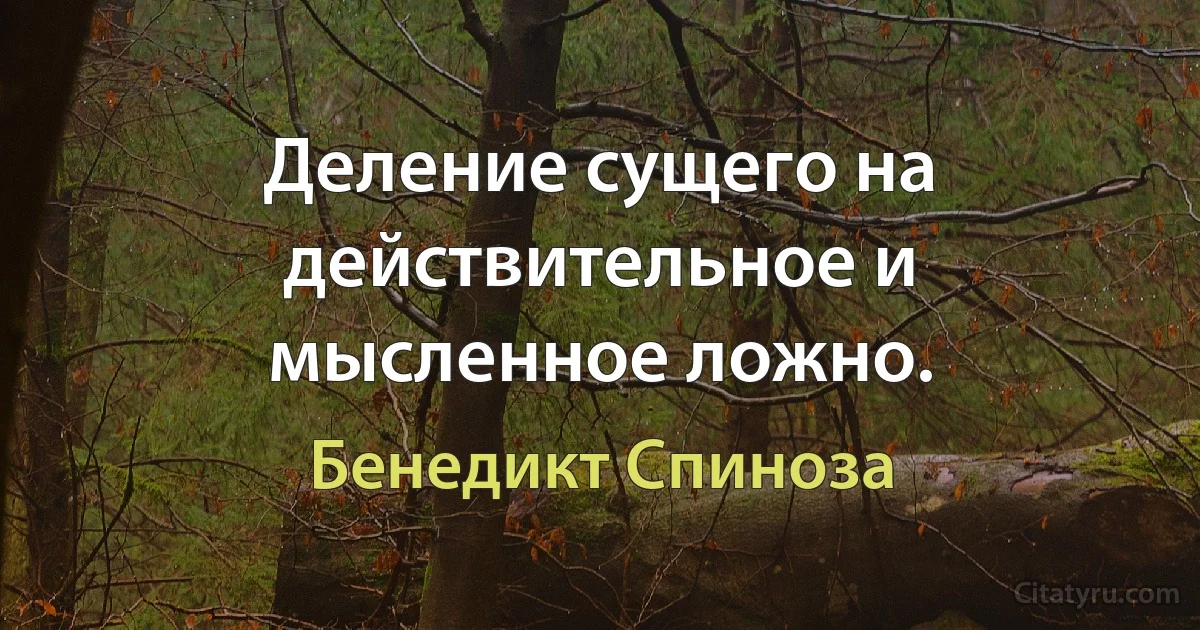 Деление сущего на действительное и мысленное ложно. (Бенедикт Спиноза)