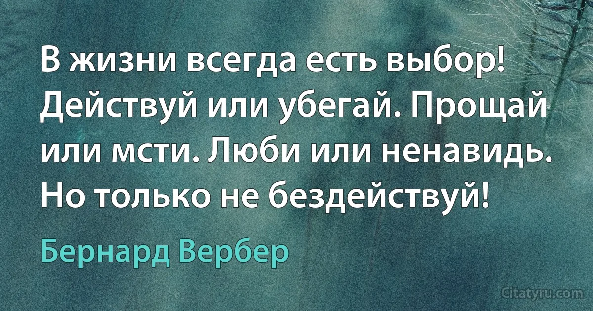 В жизни всегда есть выбор! Действуй или убегай. Прощай или мсти. Люби или ненавидь. Но только не бездействуй! (Бернард Вербер)