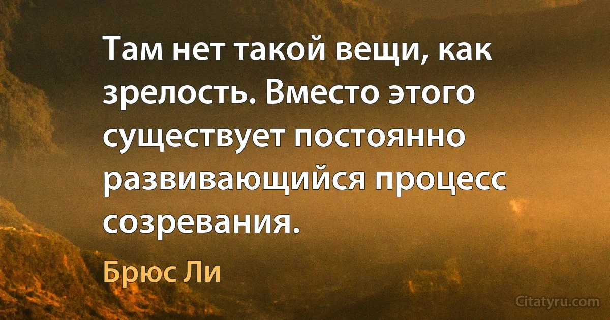 Там нет такой вещи, как зрелость. Вместо этого существует постоянно развивающийся процесс созревания. (Брюс Ли)