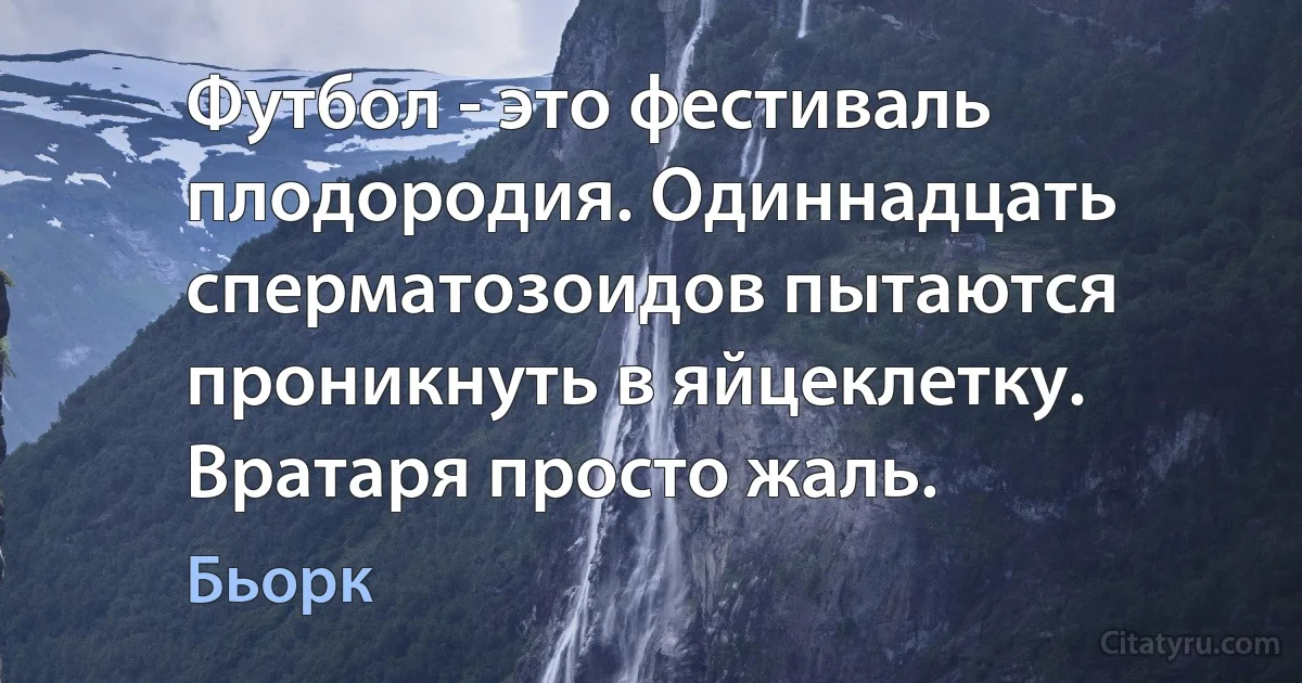 Футбол - это фестиваль плодородия. Одиннадцать сперматозоидов пытаются проникнуть в яйцеклетку. Вратаря просто жаль. (Бьорк)