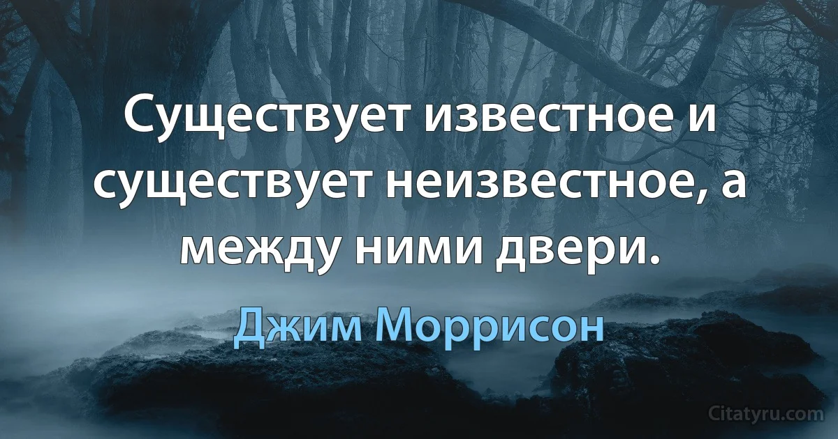 Существует известное и существует неизвестное, а между ними двери. (Джим Моррисон)