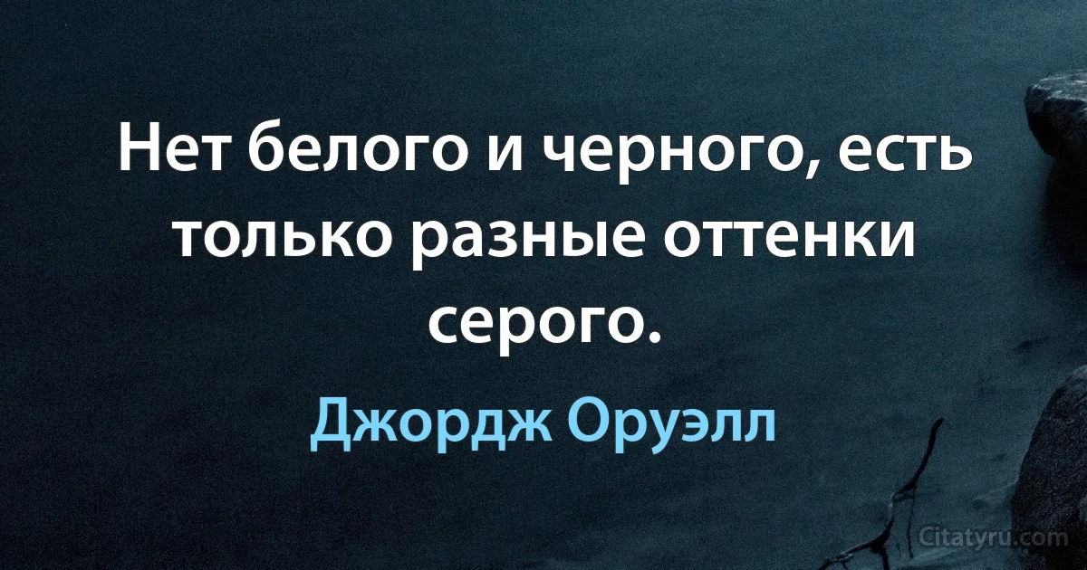 Нет белого и черного, есть только разные оттенки серого. (Джордж Оруэлл)