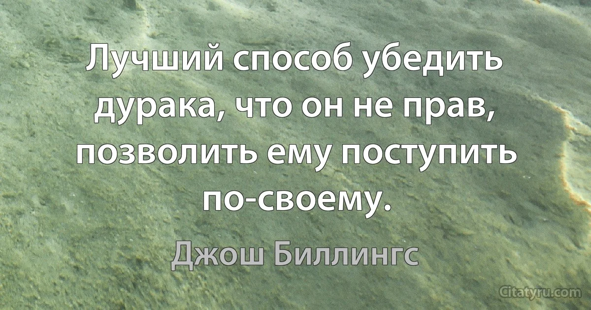 Лучший способ убедить дурака, что он не прав, позволить ему поступить по-своему. (Джош Биллингс)