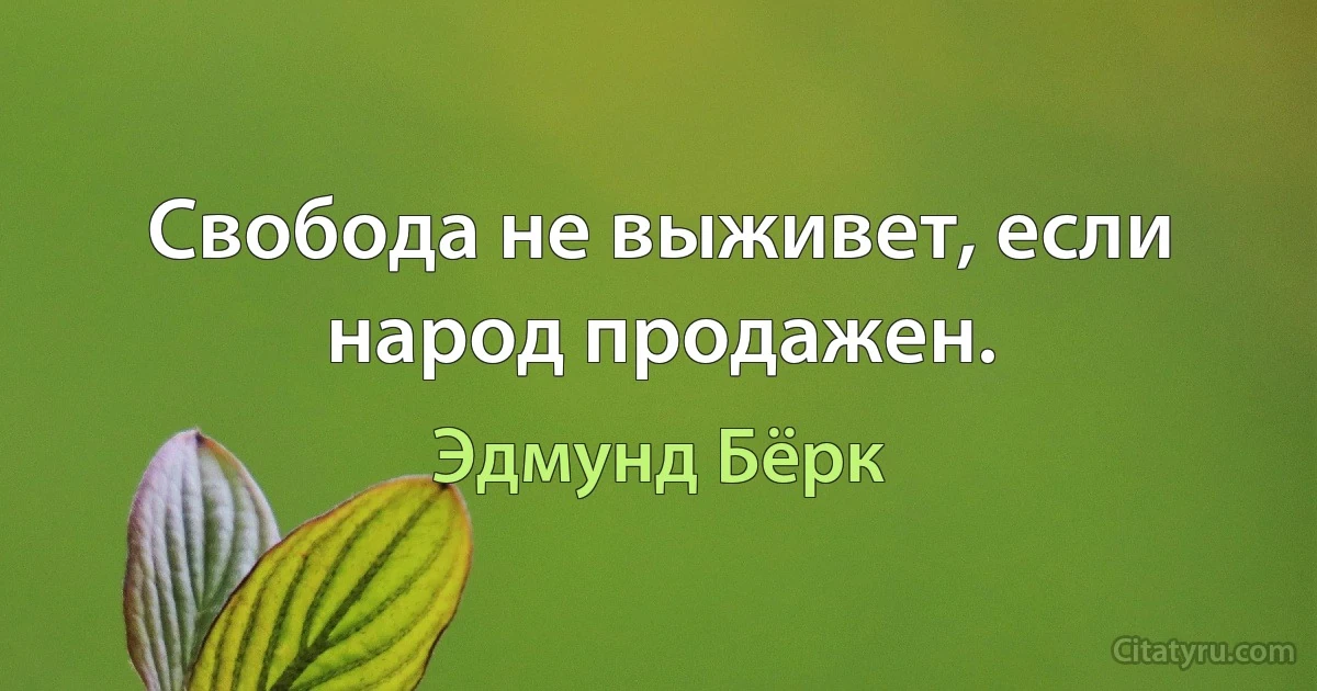 Свобода не выживет, если народ продажен. (Эдмунд Бёрк)