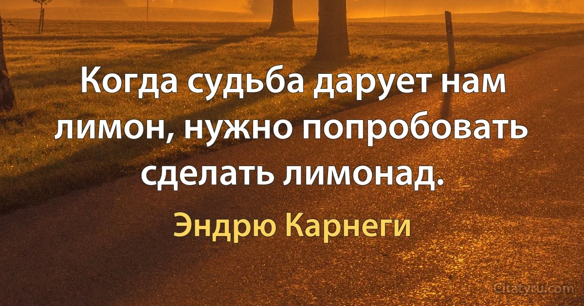 Когда судьба дарует нам лимон, нужно попробовать сделать лимонад. (Эндрю Карнеги)